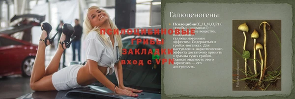 spice Новодвинск