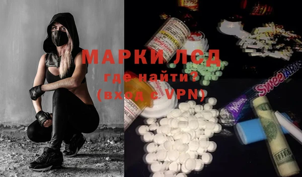 spice Новодвинск