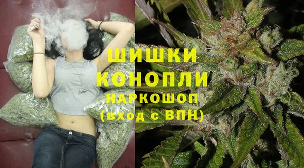 spice Новодвинск