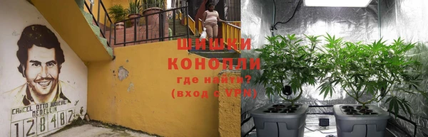 spice Новодвинск