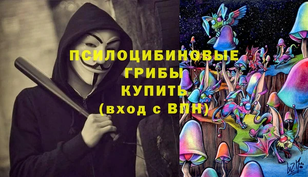 spice Новодвинск