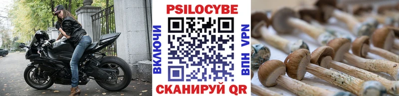 наркота Байкальск Псилоцибиновые грибы мицелий